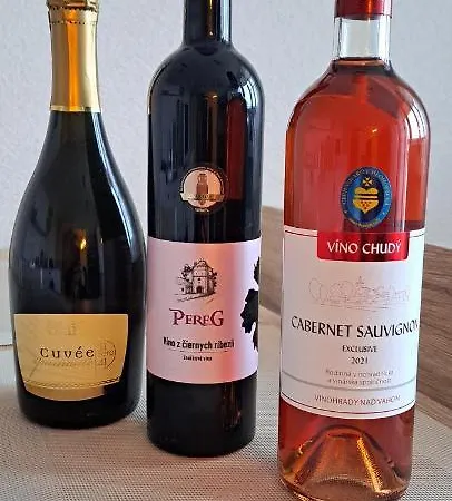 Utulny Blizko Centra 아파트