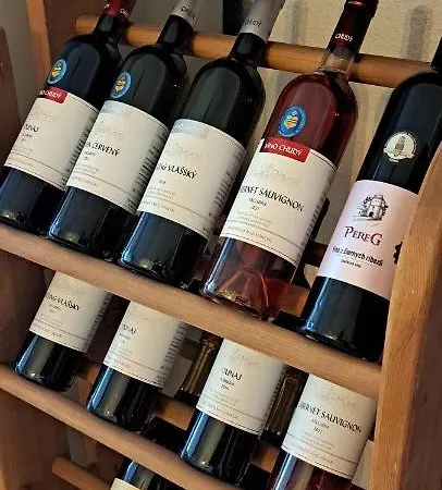 Utulny Blizko Centra * 미칼로브체