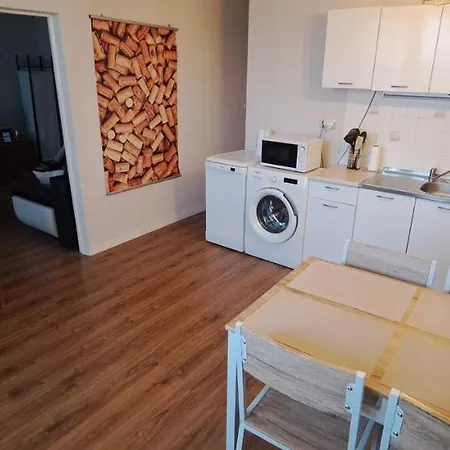 Utulny Blizko Centra Apartman Nagymihály
