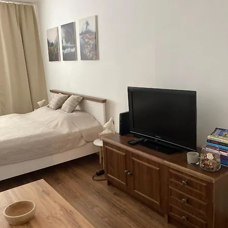 Utulny Blizko Centra Apartment